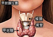 治療?甲亢的中醫(yī)具體實施方法