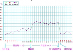 女性排卵期怎么計算最準確