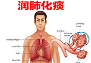 治療潤(rùn)肺化痰的食療配方