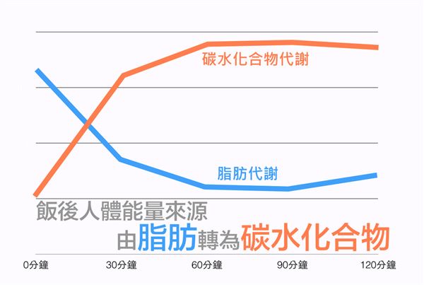 空腹運動的理論基礎(chǔ)