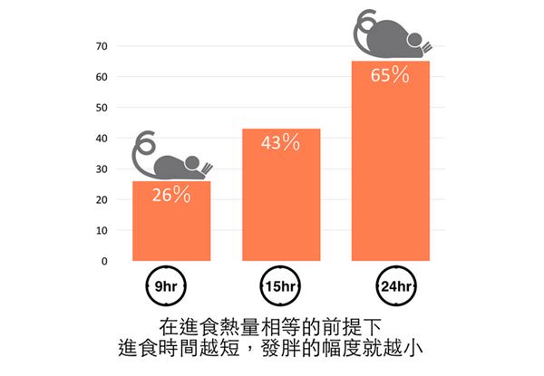 以前的減肥都做錯了?研究表明多量少餐更能瘦