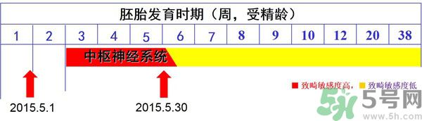 寨卡病毒是不是與基因突變有關系?