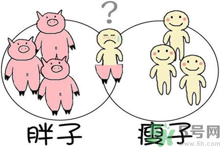 我胖了我也胖了怎么辦?胖子和瘦子的運(yùn)動(dòng)方法