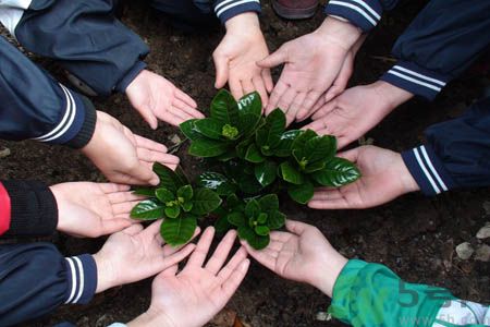 植樹節(jié)是什么時(shí)候?植樹節(jié)為什么定在這一天?