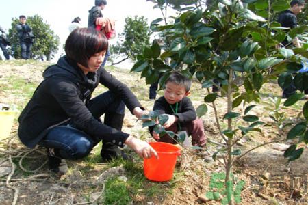 植樹節(jié)是什么時(shí)候?植樹節(jié)為什么定在這一天?