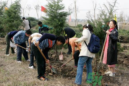 植樹(shù)節(jié)是幾月幾日？植樹(shù)節(jié)可以做些什么活動(dòng)？