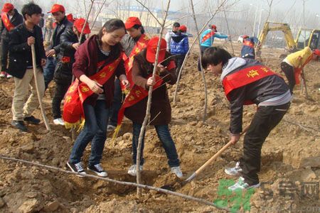 植樹節(jié)種什么樹?植樹節(jié)和孩子一起種什么樹好?