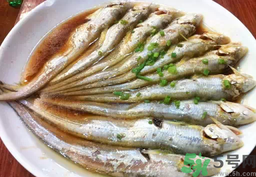 長江刀魚的營養(yǎng)價值有哪些?長江刀魚的功效與作用.png