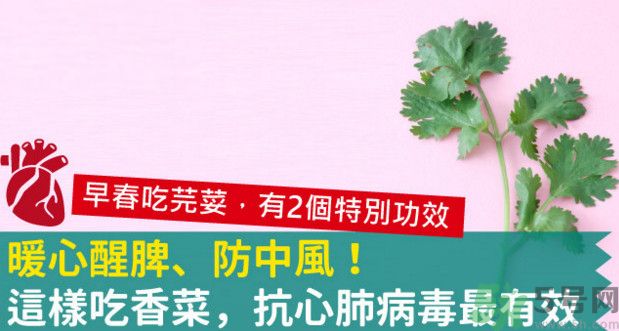 春天吃香菜好嗎？春天吃香菜有什么好處？