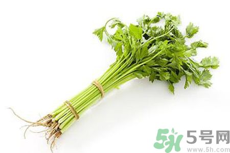 芹菜可以減肥嗎？芹菜有什么功效？