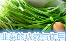 野韭菜一般長在什么地方 野韭菜的副作用