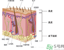 為什么頭發(fā)越來(lái)越油？頭發(fā)應(yīng)該幾天洗一次？