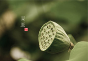 夏至有什么習(xí)俗？夏至吃什么傳統(tǒng)食物？