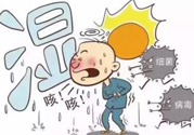 夏季濕氣重怎么辦？夏季祛濕的方法