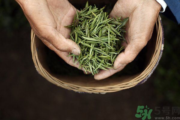 吃魚的時候能喝茶嗎？吃魚可以喝茶嗎？