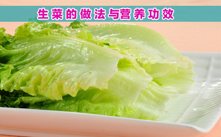 生菜一年四季都有嗎 生菜是轉(zhuǎn)基因蔬菜嗎