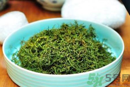 苦菜茶可以和綠茶一起喝嗎？苦菜茶可以和其他茶一起喝嗎？