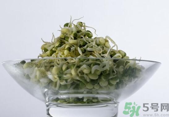 夏天吃綠豆芽可以清火嗎？夏天吃綠豆芽能降火嗎？