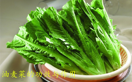 油麥菜發(fā)苦是怎么回事 油麥菜發(fā)苦能吃嗎