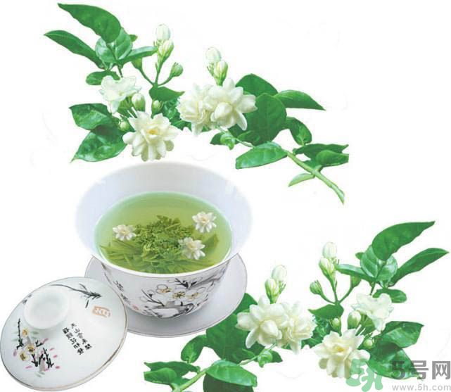 茉莉花茶是熱性還是涼性？茉莉花茶是涼性嗎？