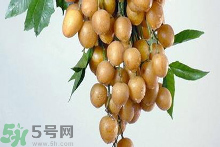 黃皮果是不是發(fā)物？黃皮果是發(fā)物嗎？