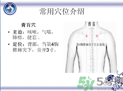 三伏貼可以貼肚臍嗎？三伏貼可以貼肚臍眼嗎？