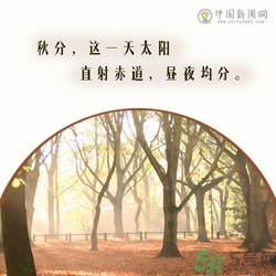 立秋是秋分嗎？立秋和秋分的區(qū)別？