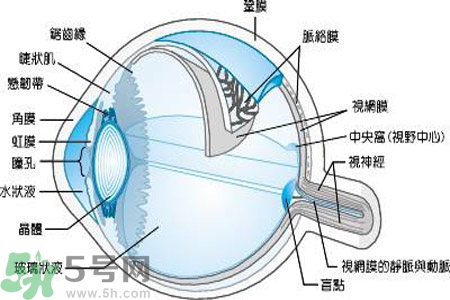 近視眼是什么？近視眼的癥狀有哪些？