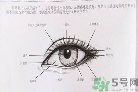 白內(nèi)障的發(fā)病因素是什么？白內(nèi)障并發(fā)癥有哪些？