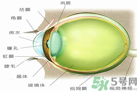 青光眼的治療方法有哪些？青光眼可以哪些藥物治療？