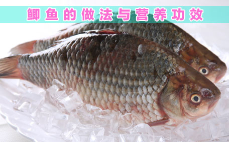 鯽魚可以蒸著吃嗎 鯽魚怎么蒸才好吃