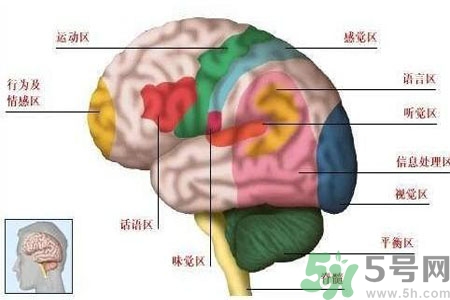 腦出血的發(fā)病因素是什么？腦出血的并發(fā)癥有哪些？