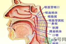 鼻咽癌的日常措施是什么？鼻咽癌注意的飲食有哪些？