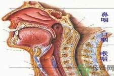 鼻咽癌的治療方法是什么？鼻咽癌可以用什么藥物治療？