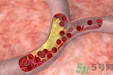 膽固醇對人體有傷害嗎？膽固醇是什么？