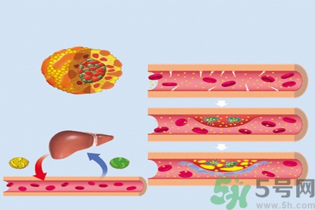 膽固醇對人體有傷害嗎？膽固醇是什么？