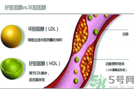 膽固醇高會(huì)引發(fā)什么疾病嗎？如何控制高膽固醇？