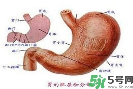 急性腸胃炎哪些食物不可以吃？急性腸胃炎不能吃的水果有？