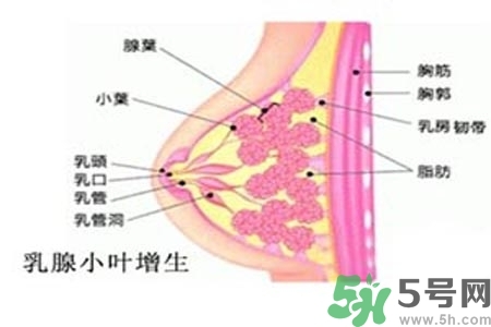 乳房上有硬塊怎么辦？乳房有硬塊的病因是什么？