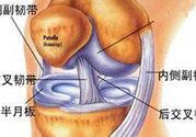 前十字韌帶斷裂可以參加比賽嗎？前十字韌帶斷裂怎么治療？