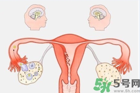 陰道出血癥狀有哪些？陰道出血需注意什么問題？