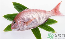 吃魚眼睛對眼睛有好處嗎？吃什么魚對眼睛好？