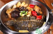 甲魚的營養(yǎng)價(jià)值 甲魚的功效與作用