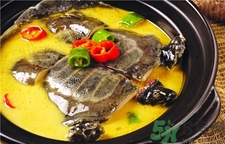 甲魚的營養(yǎng)價(jià)值 甲魚的功效與作用