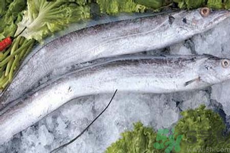 凍帶魚怎么解凍？帶魚內(nèi)臟怎么洗？