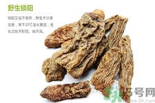 鎖陽(yáng)的作用與功效 鎖陽(yáng)的用藥禁忌