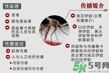 寨卡病毒會(huì)死人嗎？寨卡病毒會(huì)死嗎？