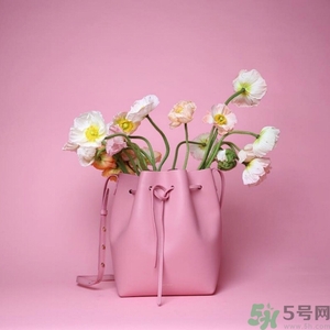 Mansur Gavriel真假辨別圖對比