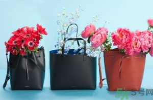 Mansur Gavriel水桶包價格多少錢？Mansur Gavriel水桶包尺寸大小