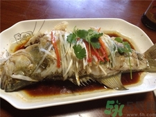 鱸魚(yú)的營(yíng)養(yǎng)價(jià)值 鱸魚(yú)的功效與作用